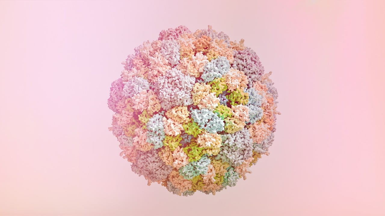 New Approaches to Combatting Antibiotic Resistance
